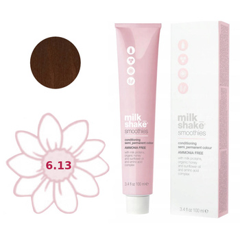 Milchshake Smoothies Semi-Perm 6.13 Farbstoff 100ml