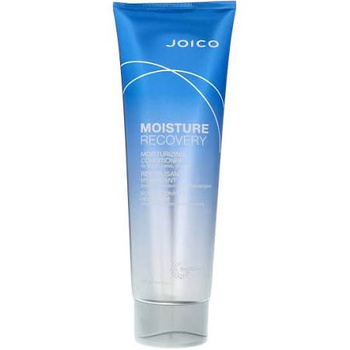 Joico Moisture Recovery Conditioner 250 ml