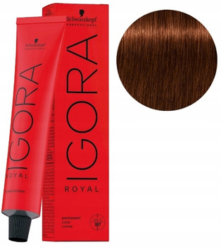 Wella Color Touch Plus Vernice 60 ml 66/07