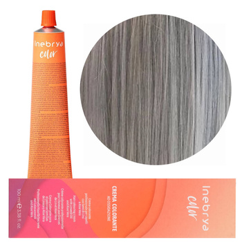 Inebrya Color Silver Paint 100 ml
