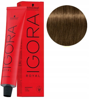 Wella Color Touch Plus Vernice 60 ml 66/07