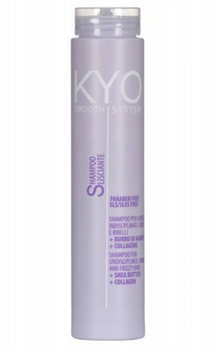 KYO Smooth System Frizzy Hair Shampoo 250 ml