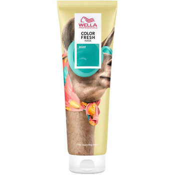 Wella Color Maschera alla Menta Fresca 150ml