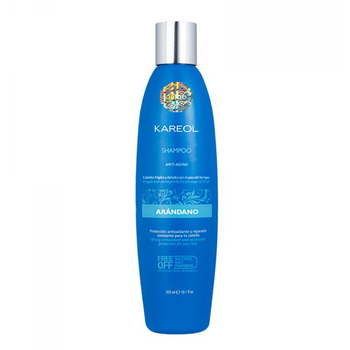 Kareol Heidelbeer Shampoo 300 ml