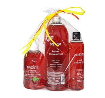 BingoSpa Mud Set