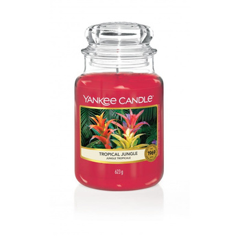 Yankee Candle Tropical Jungle Glas, groß, 623 g