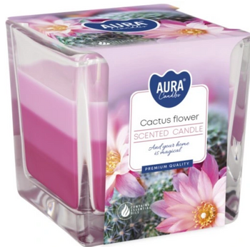 Bispol Lumânare parfumată în sticlă tricoloră 170 g Floare de cactus