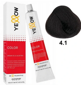 Alfaparf YELLOW Color Permanent 4.1 Culoare 100 ml