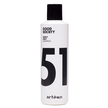 ARTEGO Shiny Grey Shampoo 250 ml