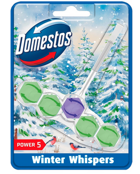 Domestos Cube Basket 50 g Power 5 Winter Whispers Pine